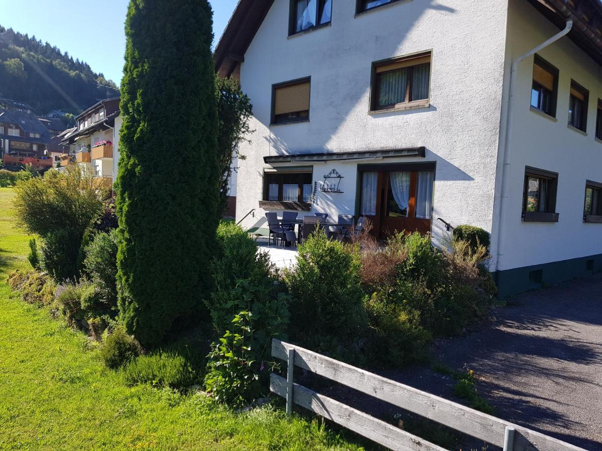 Am Wehrastrand App Eg Todtmoos Exteriér fotografie
